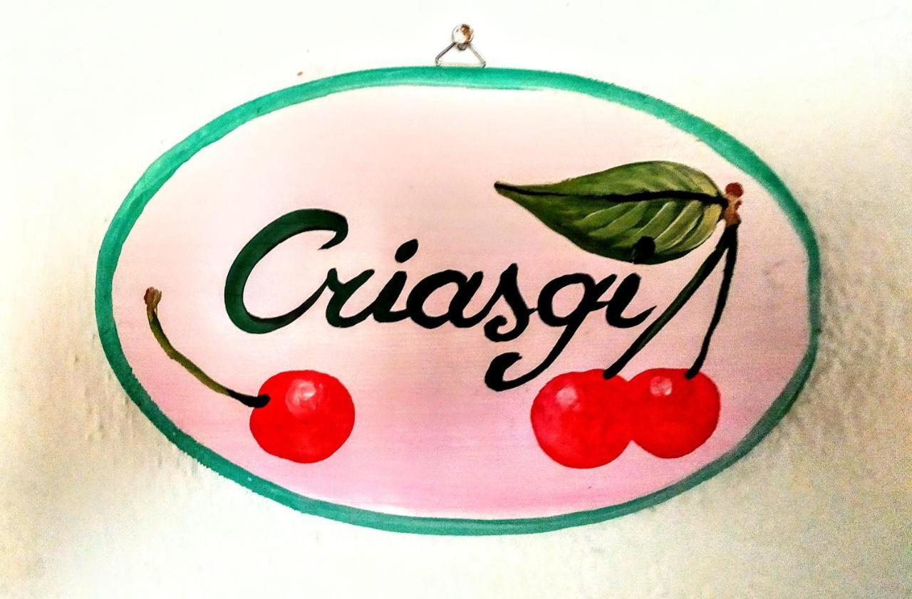 Gallura Experiences Li Criasgi Aggius Exterior photo